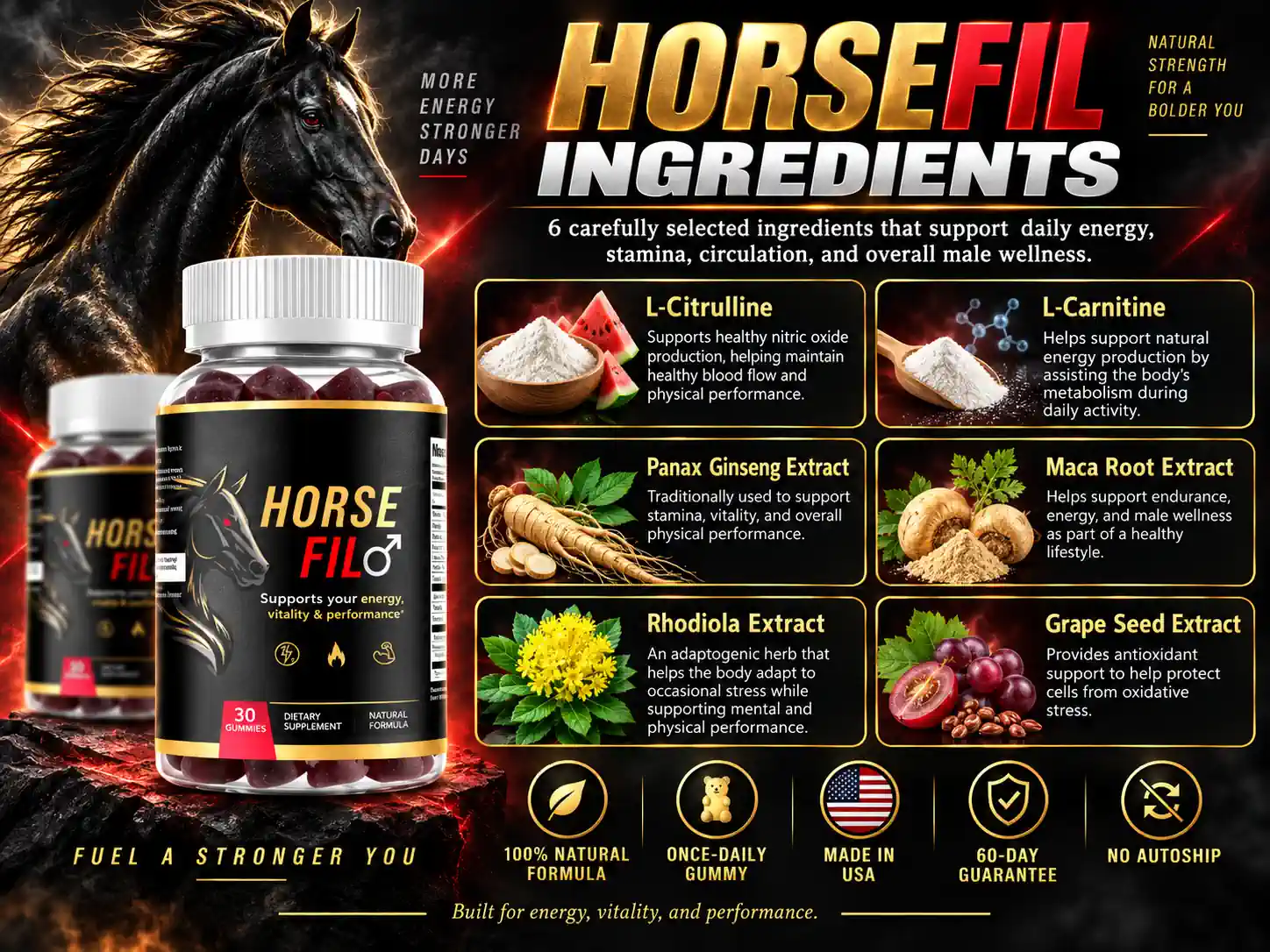 HorseFil 6 ingredient formula: L-Citrulline, L-Carnitine, Panax Ginseng, Maca Root, Rhodiola, Grape Seed Extract